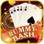 rummy perfect download icon