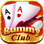 rummy win new