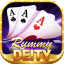 rummy top app icon