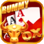 rummy 100